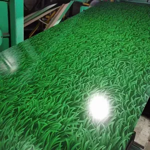 Prepainting Galvanized Steel Coil thumbnail-2