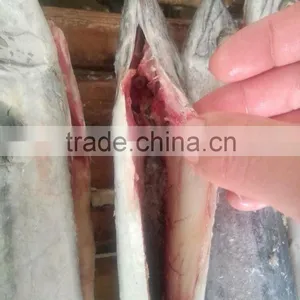 2015 Hung Frozen Spanish Mackerel Whole Gutted thumbnail-1