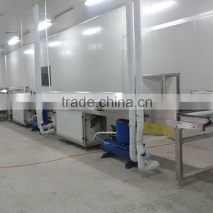 Double Color Jelly Candy Depositing Line thumbnail-1