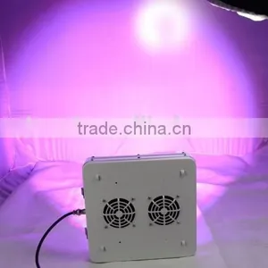 High Power 200W LED Grow Light 3 Years Warranty for Medical Plants thumbnail-3