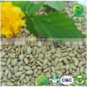 Hulled Sunflower Kernels Confectionary thumbnail-2