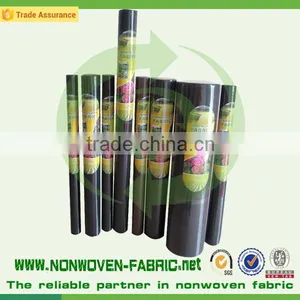 Non-woven/ Nonwoven Fabric Roll Weed Control Fabric/ Mat thumbnail-5