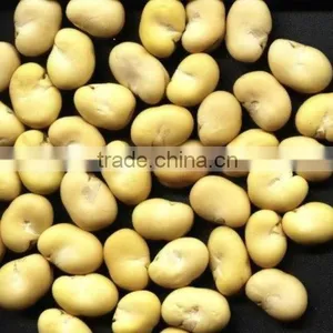 Broad Beans in Shell thumbnail-1