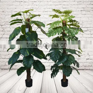 Artificial Monstera Evergreen Bonsai thumbnail-5