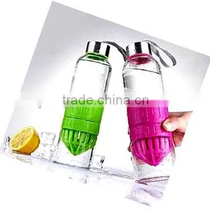 Borosilicate Bpa Free Water Bottle With Fruit Infuser thumbnail-2