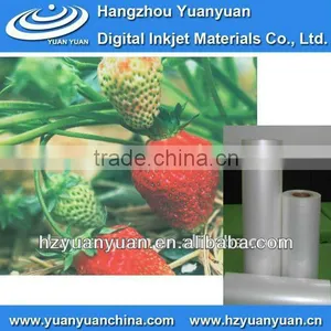 WP-125PET Front Print Backlit Film , Light Box Backlit Film thumbnail-1