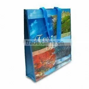 Printed PP Woven Bag for Shopping(glt-w0164) thumbnail-1