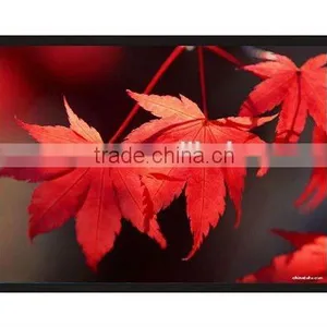 Format 1:1 84 Inch Frame Projection Screen/fixed Aluminiul Frame Projectin Screen With Black Velvet thumbnail-1