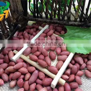 Colour Red Peanuts Kernels New Crop In thumbnail-1