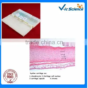 Mixed Human Histology Medical Prepared Slides Set in Plastic Box From Factory thumbnail-1