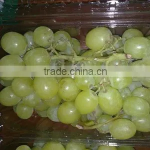 Fresh Grapes thumbnail-1