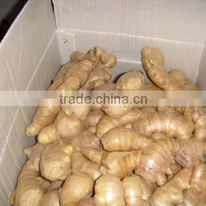 2010 Crop Dried Ginger thumbnail-1