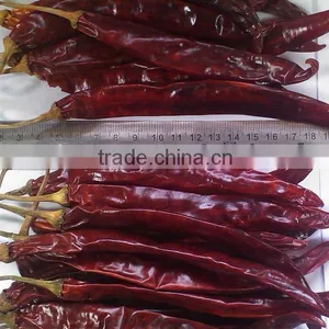Chillies Sanam M/B Withstem thumbnail-4