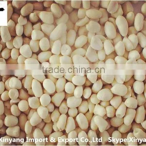 Blanched Peanut Slivered/25/29 41/51 Blanched Peanut Kernel/peanuts Red Skin thumbnail-1