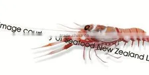 Frozen New Zealand Scampi thumbnail-1