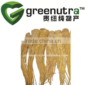 Angelica Sinensis thumbnail-1