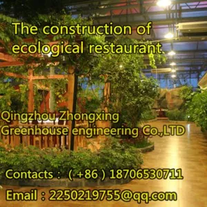 Zhongxing Greenhouse Engineering Co.,Ltd company overview - view 4 thumbnail