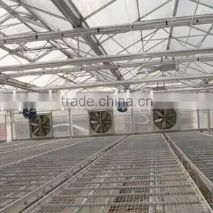 Poultry House With Shutter Ventilation Exhaust Fan Cooling Fan thumbnail-6