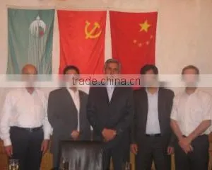 Chongqing Goldenbow Group Power Co., Ltd. company overview - view 3 thumbnail