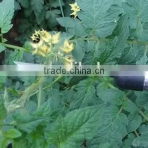 Newest Electric Tomato Pollination Tool thumbnail-1