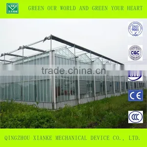 Agriculture Galvanized Steel Structure Greenhouse for Planting thumbnail-2