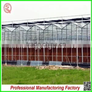 Commercial Hydroponics Glass Cover Material Greenhouses From China Factory thumbnail-2