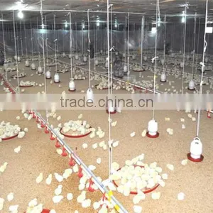 China Steel Structure Chicken House thumbnail-6