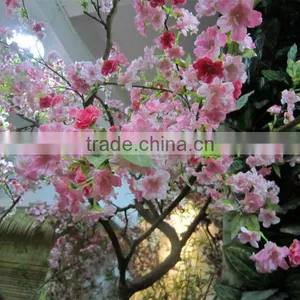 2014 Hot Sale Artificial Peach Blossom Trees thumbnail-1