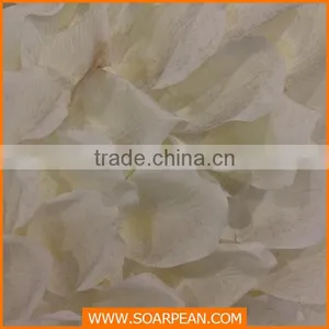 Exquisite Fiberglass Life-size Decorative Swan Statue thumbnail-4