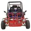 Sell EEC Go Kart thumbnail-1