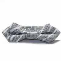 Diamond Tip Boy’s Striped Bow Tie thumbnail-1