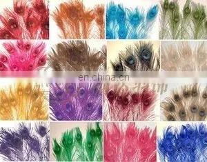 Good Quality With Full Eye Cheap Coloured Peacock Feathers thumbnail-1