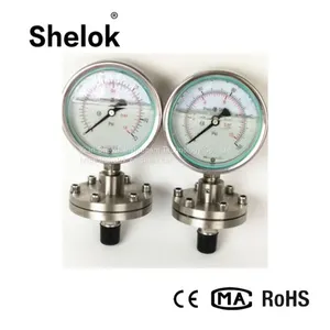 150mm Diaphragm Flange Pressure Gauges thumbnail-4