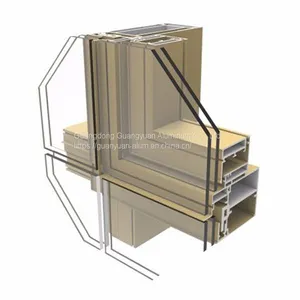 Aluminum Curtain Wall thumbnail-1