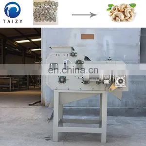 Taizy Automatic Cashew Nut Processing Shelling Machine thumbnail-7