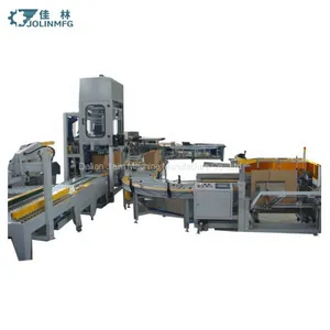 Automated Carton Packing Line for Medcine thumbnail-1