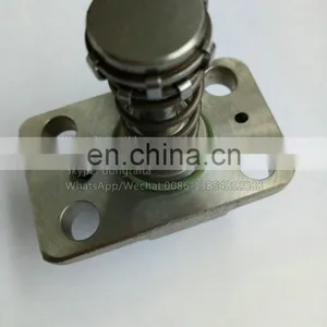 Original CP1H Plunger Assembly F01M100869 thumbnail-2