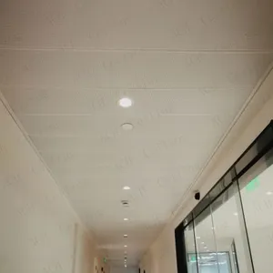 Fiberglass Acoustic Ceiling thumbnail-4