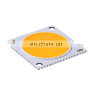COB LED Chip Light Emitting Diode 2828 20W 30W 50W High Brightness DIY High-end Shop Track Light thumbnail-2