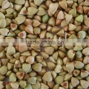 2015 Crop Organic Buckwheat Kernels thumbnail-1