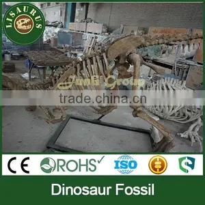Lisaurus-0429 2013 Dragon Culture Museum Artificial Dinosaur Fossil thumbnail-1