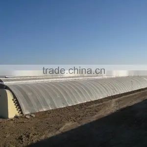 Chinese Style Sunlight Lean to Roof Solar Greenhouse Quality Choice thumbnail-4