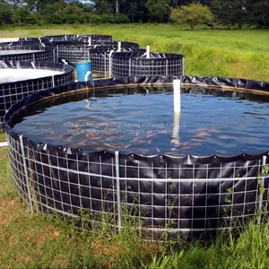 2mm Hdpe Geomembrane Geomembrane Fish Geomembrane Fish Tank Geomembrane for Fish Farming Geomembrane for Fish Pond thumbnail-1
