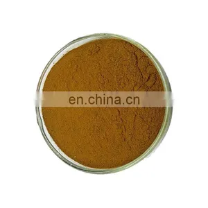Free Sample Oraginc Herbal Echinacea Extract Powder thumbnail-3