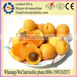Hot Sale Almond Nut Shelling Machine Green Almond Peeling Machine thumbnail-4