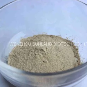 Protease thumbnail-1