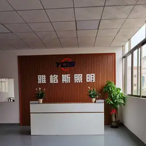 Guangdong Yages Lighting Technology Co., Ltd. company overview - view 1 thumbnail