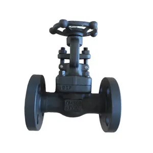 Factory Supply 800LB 1500LB A105N A105 316L Rising Stem Forged Steel Flange Threaded Gate Valve 2 Inch Gate Valve thumbnail-4