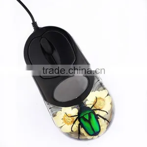 2016 New Fashion Computer Mouse With Real Insect thumbnail-4