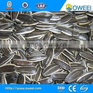 Sunflower Seeds Sheller thumbnail-6